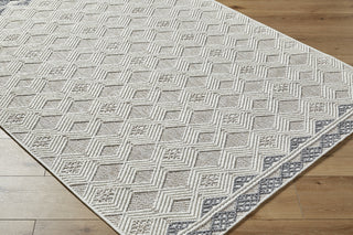 Livabliss Bouclair BCR-2308 Area Rug