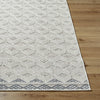 Livabliss Bouclair BCR-2308 Area Rug