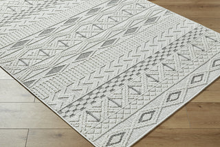 Livabliss Bouclair BCR-2314 Area Rug