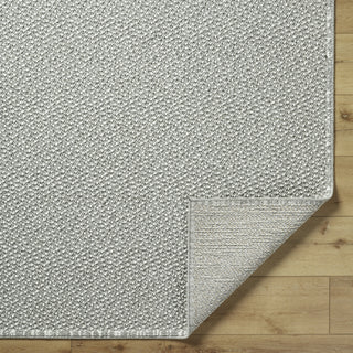 Livabliss Bouclair BCR-2315 Area Rug