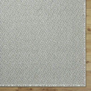 Livabliss Bouclair BCR-2315 Area Rug