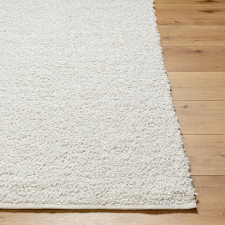 Surya Boculette BCT-2300 Area Rug Angle