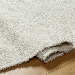 Surya Boculette BCT-2300 Area Rug Pile