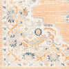 Livabliss Bodrum BDM-2344 Area Rug Swatch