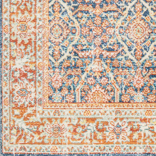 Livabliss Bodrum BDM-2348 Area Rug Swatch