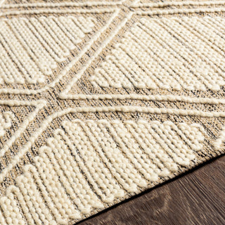 Surya Bedouin BDO-2316 Area Rug Detail