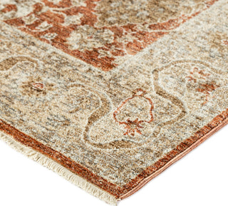 Dalyn Bergama BE6 Paprika Area Rug