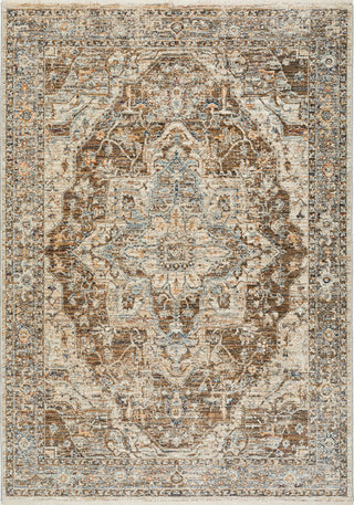 Dalyn Bergama BE9 Mocha Area Rug