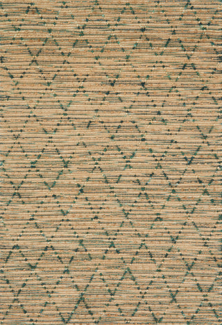 Loloi Beacon BU-03 Aqua Area Rug main image
