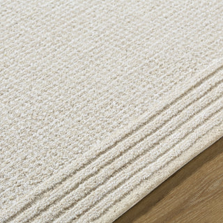 Livabliss Benchcraft BEC-2300 'ivory Area Rug Detail
