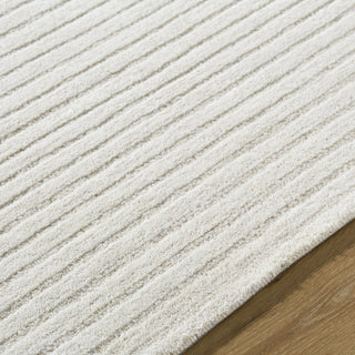Livabliss Benchcraft BEC-2304 Ivory Area Rug Detail