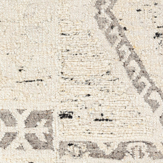 Surya Bremen BEN-2304 Area Rug Swatch