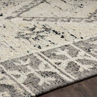 Surya Bremen BEN-2304 Area Rug Detail