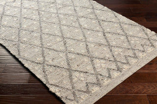 Surya Bremen BEN-2305 Area Rug Corner Shot