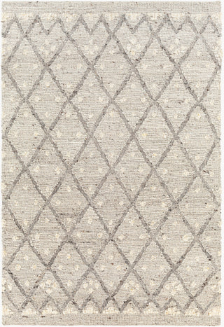Surya Bremen BEN-2305 Area Rug main image