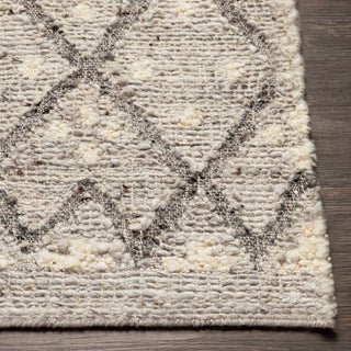 Surya Bremen BEN-2305 Area Rug Angle