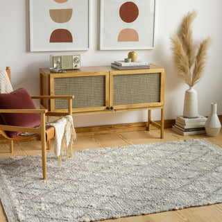 Surya Bremen BEN-2305 Area Rug Room Scene Feature