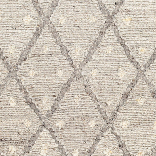 Surya Bremen BEN-2305 Area Rug Swatch
