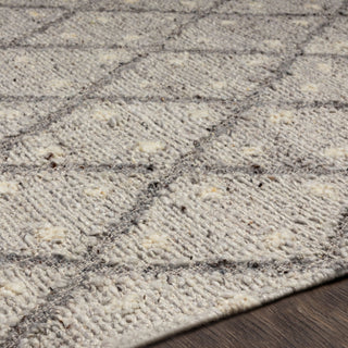Surya Bremen BEN-2305 Area Rug Detail