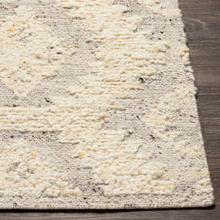 Surya Bremen BEN-2306 Area Rug Angle