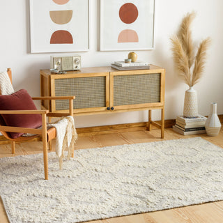 Surya Bremen BEN-2306 Area Rug Room Scene Feature