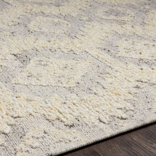 Surya Bremen BEN-2306 Area Rug Detail