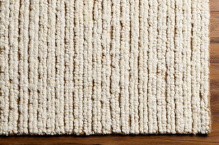 Surya Brentford BFD-2300 Area Rug Detail