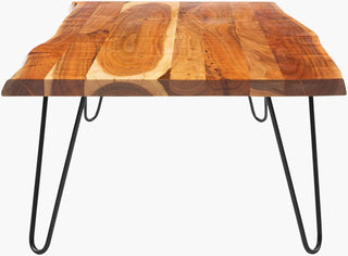 Surya Bergen BGE-002 Brown / Black Furniture Angle