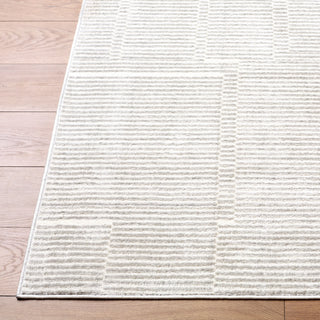Livabliss Brugge BGG-2300 Area Rug Angle