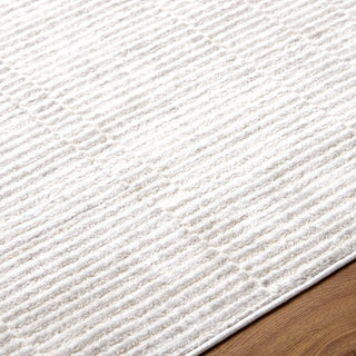 Livabliss Brugge BGG-2300 Area Rug Detail