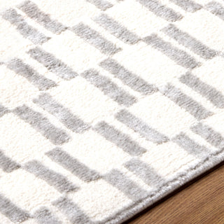 Livabliss Brugge BGG-2301 Area Rug Detail