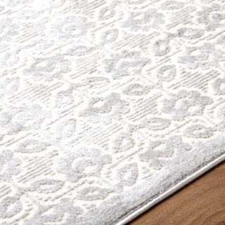 Livabliss Brugge BGG-2302 Area Rug Detail