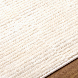 Livabliss Brugge BGG-2303 Area Rug Detail