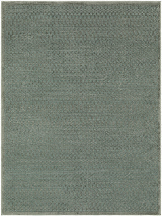 Livabliss Brugge BGG-2321 Area Rug main image