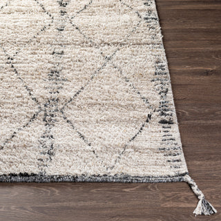 Surya Birch BHC-2302 Area Rug Angle