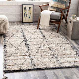 Surya Birch BHC-2302 Area Rug Room Scene Feature