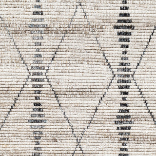 Surya Birch BHC-2302 Area Rug Swatch