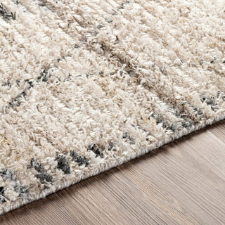 Surya Birch BHC-2302 Area Rug Detail