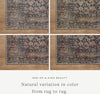 Amber Lewis x Loloi Billie BIL-01 Ink Area Rug Main Image