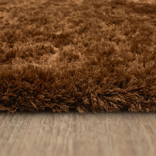 Karastan Billow Shag Rust Area Rug