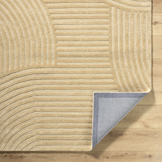 Livabliss Brook BKO-2364 Beige Area Rug Pile