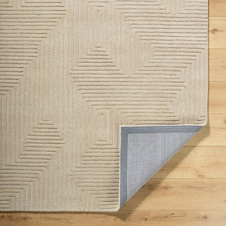 Livabliss Brook BKO-2368 Ivory Area Rug Pile