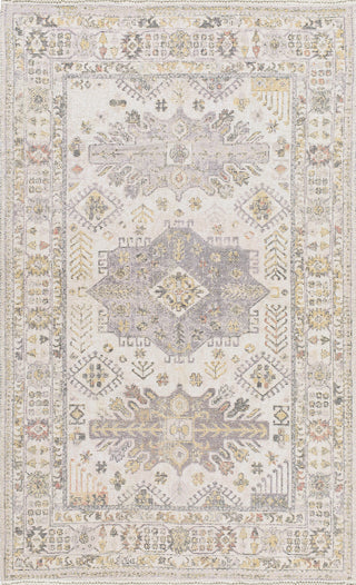 Livabliss Belfast BLF-2301 Area Rug main image