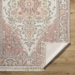 Livabliss Belfast BLF-2303 Area Rug Pile