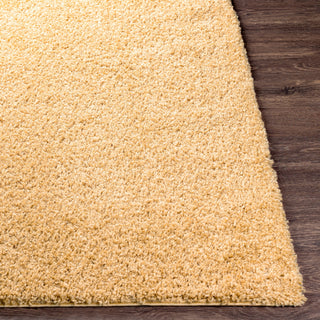Livabliss Bliss Shag BLI-2304 Beige Area Rug Angle