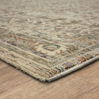 Karastan Divina Bliss Grey Area Rug Angle Image