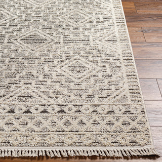 Livabliss Berlin BLR-2300 Area Rug Angle