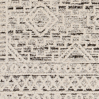 Livabliss Berlin BLR-2300 Area Rug Swatch