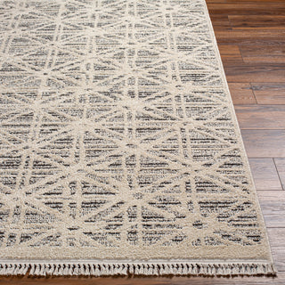 Livabliss Berlin BLR-2304 Area Rug Angle