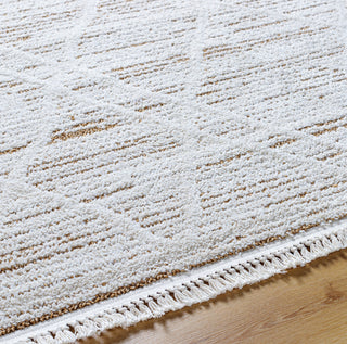 Livabliss Berlin BLR-2311 Area Rug by Surya Detail
